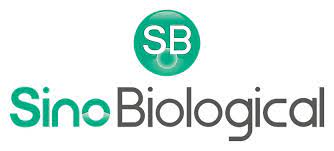 Sino Biological 2