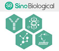 Sino Biological