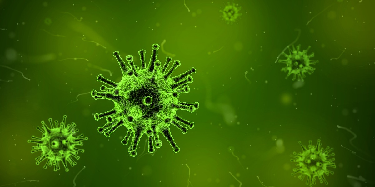 VIROLOGY2024 International Conference on Virology & Infectious